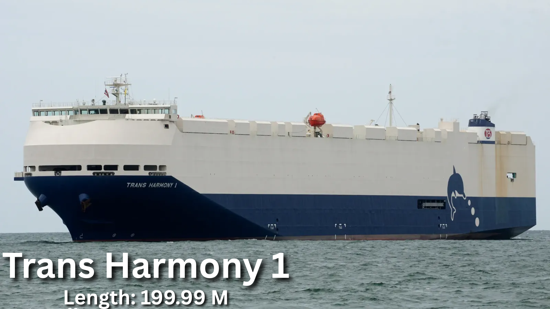Trans Harmony 1