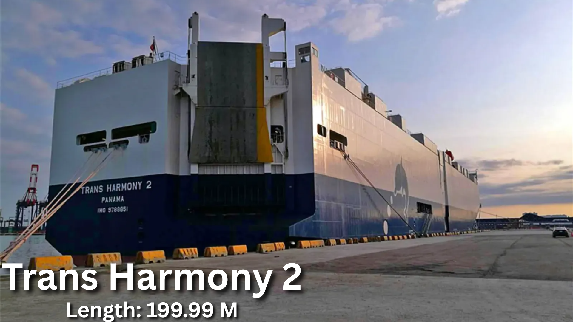 Trans Harmony 2