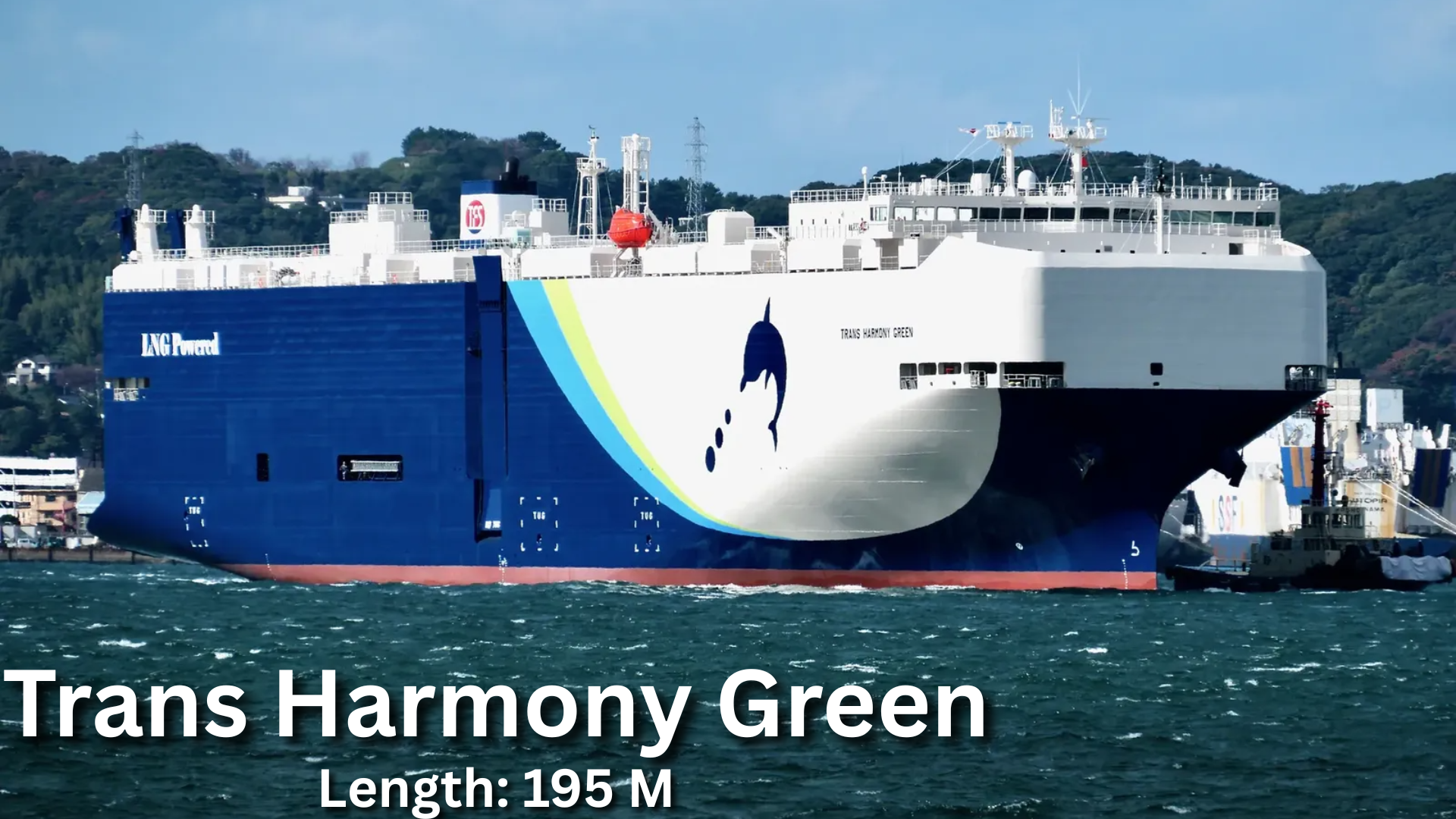 Trans Harmony Green